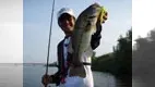 バスギャラリー 奥村哲史　”Message”～all for Angler～