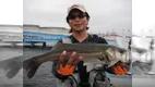 RUN＆GUN SALT TOKYOBAY SEABASS FISHINGPARK