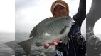 磯を駆ける 第三十章　島根県隠岐島　後編
