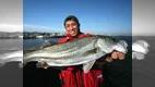 RUN＆GUN SALT SHIZUOKA SEABASS