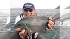 本流のライセンス 福岡県　玄界島で初秋の磯を攻める