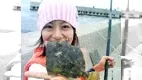 こちら東海です。 38　～日間賀島で五目釣り～