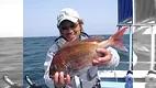 ところ変われば釣り変わる マダイ編