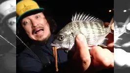 ぶらりバスの旅