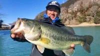 INCREDIBASS