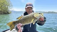 Dz BASS