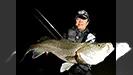 Seabass Journey
