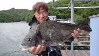 チヌ道一直線
