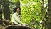 森のチカラ