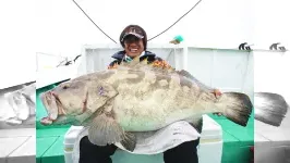 魚種格闘技戦！