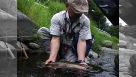 Fun to FlyFishing
