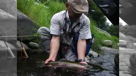 Fun to FlyFishing シーズナブルパターンとは？