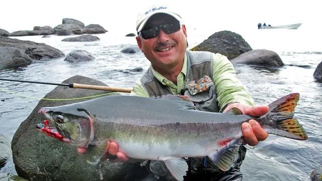 ハイパーエキスパート 北海道知床半島のカラフトマス 釣りビジョン