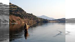 Fun to FlyFishing 知ってて損しないスペイキャスト特集