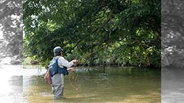 フライギャラリー Hunt Down 4 本流の尺 釣りビジョン