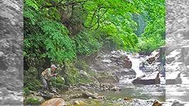 ハイパーエキスパート 中部山岳渓流2015