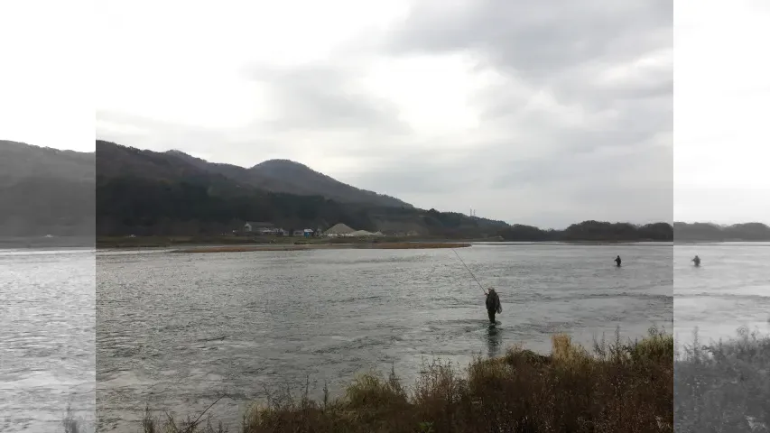 ハイパーエキスパート History of Salmon Tactics 2001-2019