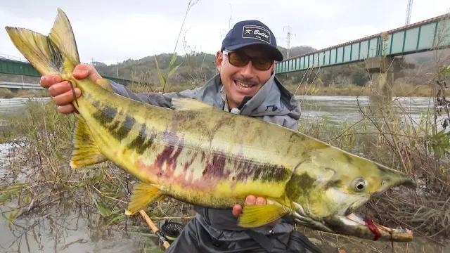 ハイパーエキスパート サーモンタクティクス 新潟県三面川のサケ釣り 釣りビジョン