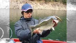 バスギャラリー 湖北の住人　長谷川耕司　ビッグベイティングの真髄！