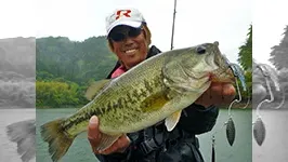 バスギャラリー ハードベイトの真骨頂！これが琵琶湖流ストロングスタイルだがやぁ！