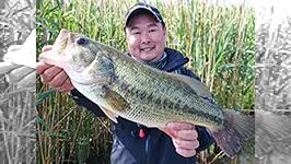 霞ヶ浦ダンディ～ 3 Spring Has Come！！