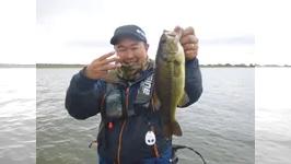 霞ヶ浦ダンディ～ 5 祝一周年！祝いのビッグバスは釣れるのか！？