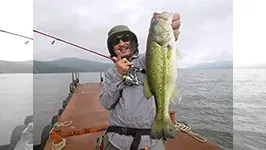 ぶらりバスの旅