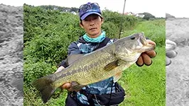 バスギャラリー 初秋の印旛沼オカッパリ攻略