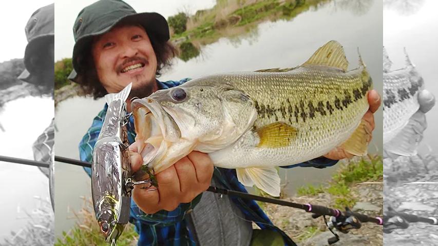 ぶらりバスの旅 5 春の淀川 Osaka Happy Day S 釣りビジョン
