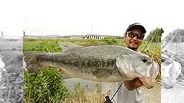Make？！  Make17 初夏・遠賀川水系・エビパターンの法則