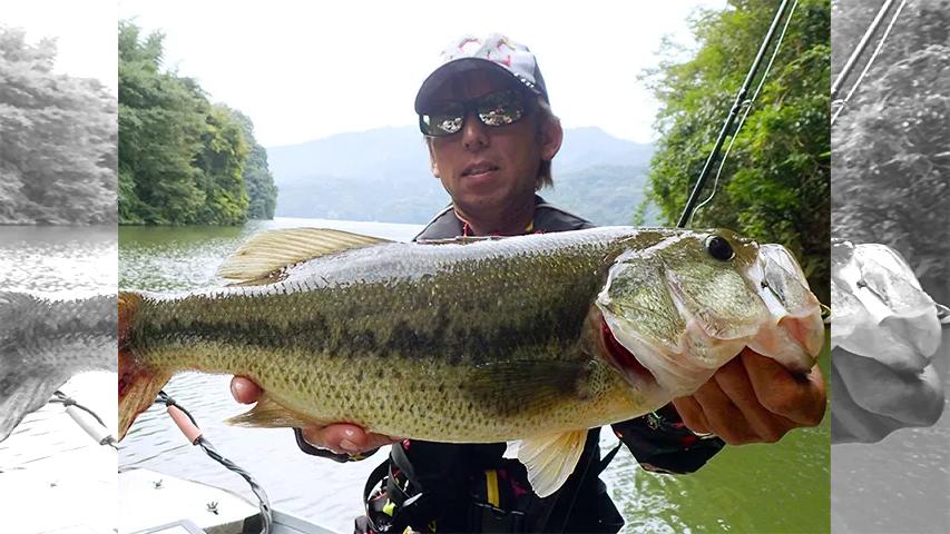 D-IMPACT Documentary-61 濁りのカバー攻略！秋の相模湖