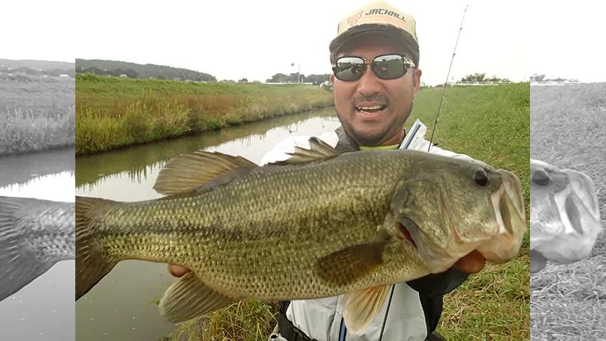 俺たちのバスフィッシングr番組一覧 バックナンバー 釣りビジョン