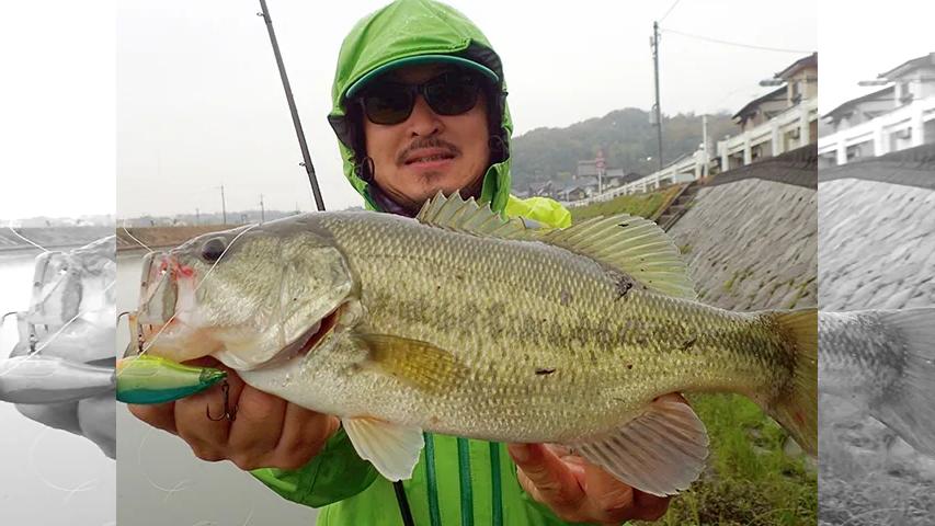 ぶらりバスの旅 7 岡山県倉敷川 Late Autumn Happy Days 釣りビジョン