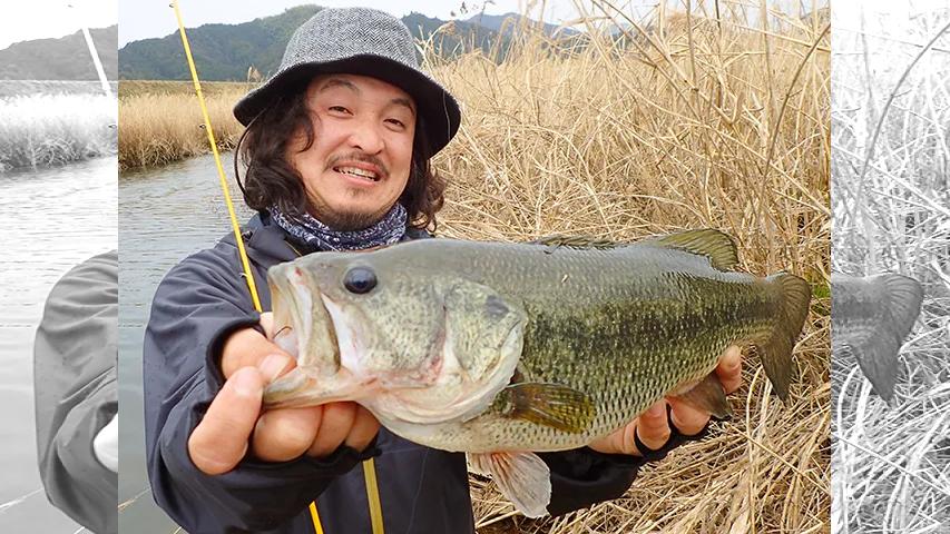 ぶらりバスの旅 8 TOSA UNBROKEN DAYS
