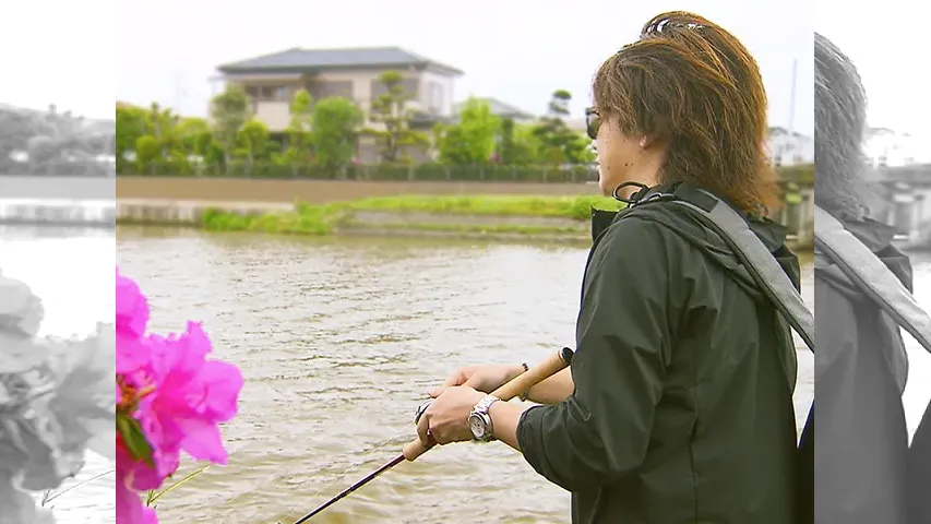 バスギャラリー Trying to flirt with Bass