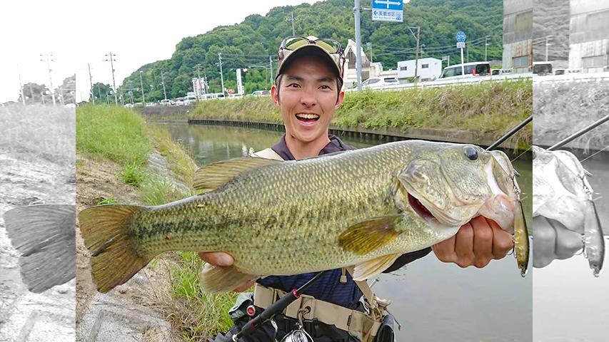 follow my F 6 岡山の陸っぱりリバー・倉敷川を歩く
