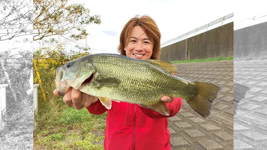 バスギャラリー 霞ケ浦水系 巻き物で秋バスを探せ！