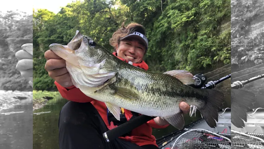 バスギャラリー 初夏のリザーバーをベイトタックルでエンジョイ！ 千葉県三島湖