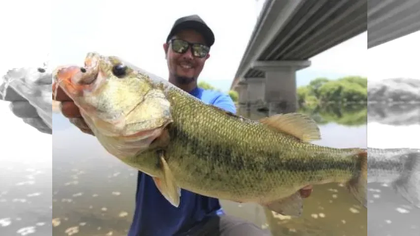 Make？！  25 夏・カレント・遠賀川の法則
