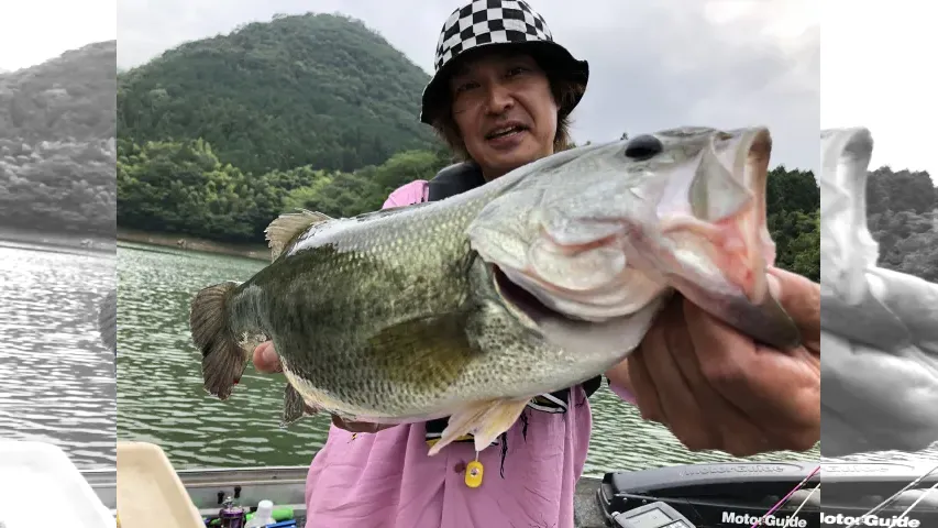 トップ道
