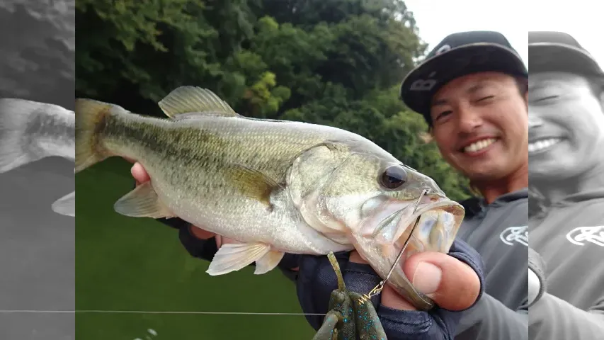 テッペンDASH！ 19 番組初の房総半島進出 晩夏の亀山ダムで冒険フィッシュをゲット！