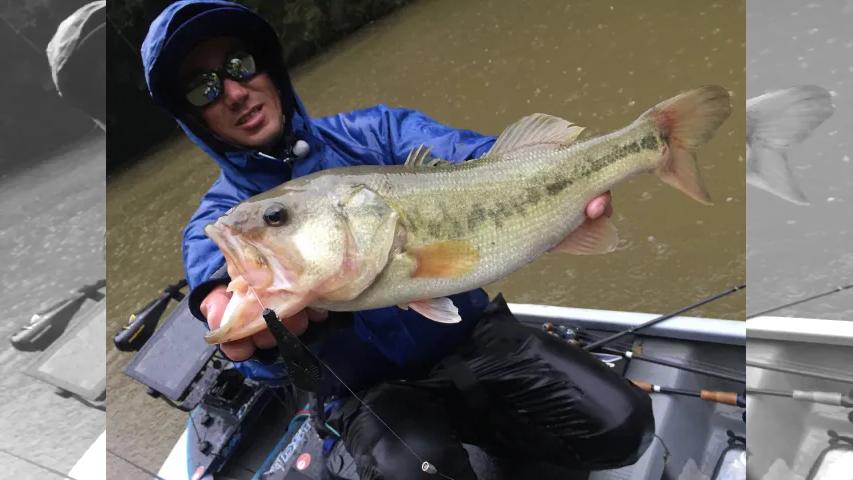 INCREDIBASS 12 11月／千葉県豊英湖／レンタルボート調査 初冬のリザーバーにおける濁りとカバー攻略