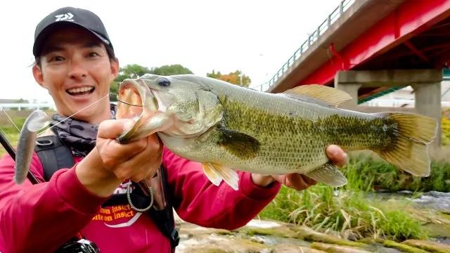20 徳島のメジャーリバー・旧吉野川を歩く