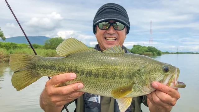 バーニング帝国 第四十九作戦 夏の長良川でヒュージ出現 なぁっ言うたやろ 釣りビジョン