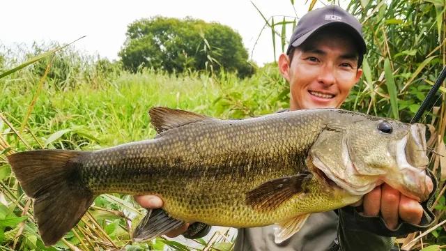 23 群馬の里沼・多々良沼を歩く