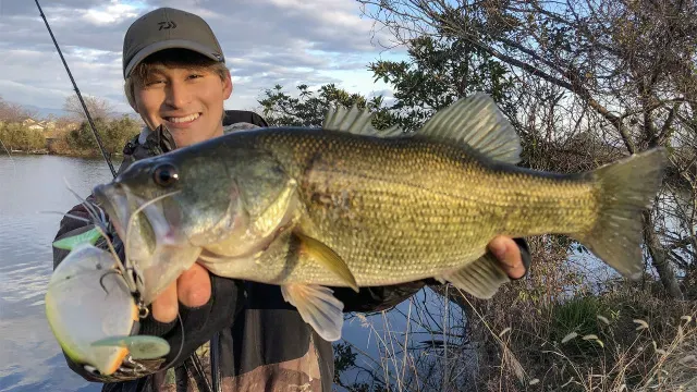 Dz BASS