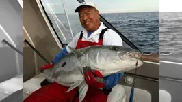 THE FISHERMAN 50ポンドオーバーのモンスターキング in ホワイトアイランド