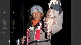 RUN＆GUN SALT KANAGAWA ROCKFISH