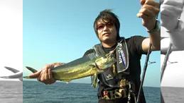 RUN＆GUN SALT SHIZUOKA LIGHT SHORE JIGGING
