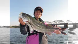 BinBinソルト 10　激アツ大阪湾！秋のBinBinリバーシーバス！